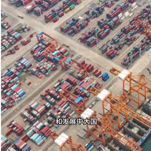 时习之丨团结合作 砥砺前行 习近平推动“大金砖合作”开新局