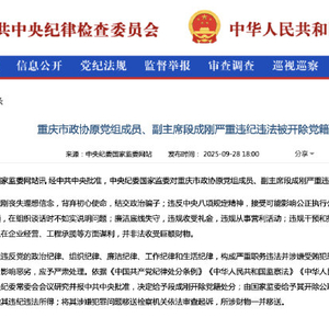 重庆市政协原党组成员、副主席段成刚严重违纪