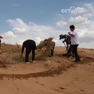 把强国建设 民族复兴伟业不断推向前进——习近平总书记在纪念中国人民抗日战争暨世界反法西斯战争胜利80周年大会上的重要讲话引发热烈反响