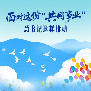 一见·面对这份“共同事业”，总书记这样推动