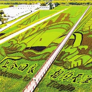 解码“大地艺术”如何激活乡村振兴新动能