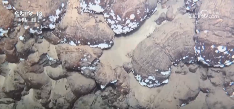 98天、15000多海里 我国载人潜水器“双子星”成功“打卡”北极