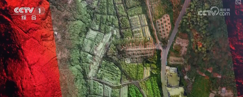 文化勃兴・文化遗产保护浓墨重彩 文化家底前所未有清晰 | 奋进“十四五”