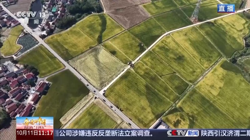 科技赋能单产提升 记者探访“大国粮仓”第一线