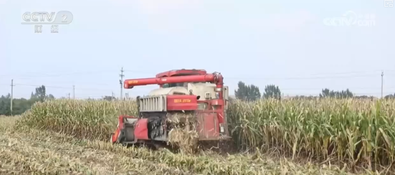 多举措协同全力推进秋收 高科技农机与时间“赛跑”抢收抢种