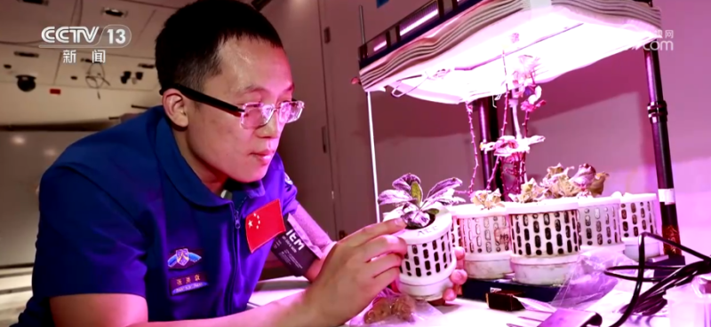 “70后”“80后”“90后”,出征!神舟二十一号乘组“跨界”也精彩