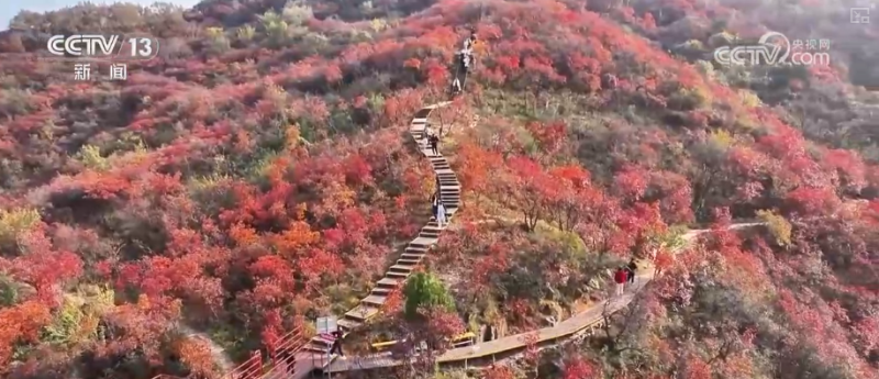 “斑斓秋色+新潮玩法”点燃赏秋游新热力 文旅新消费活力十足