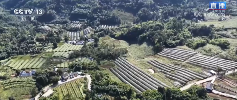 “土疙瘩”在创新中华丽转身为“中国新特产” 滋味千年幻化身形行销世界