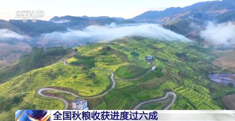 全国秋粮收获进入高峰期 进度过六成