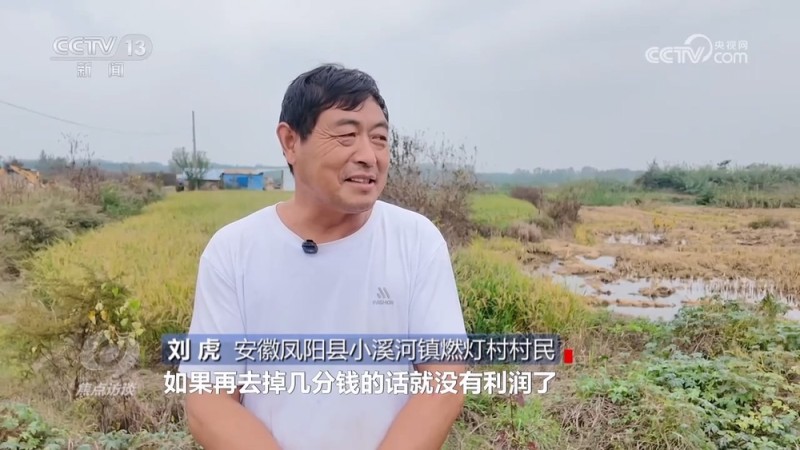 焦点访谈｜秋粮抢收抢烘 这场“保卫战”如何打好？