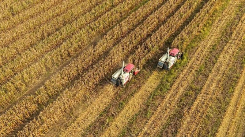 北方低温破纪录，南方最高38℃，这天气咋就乱套了？