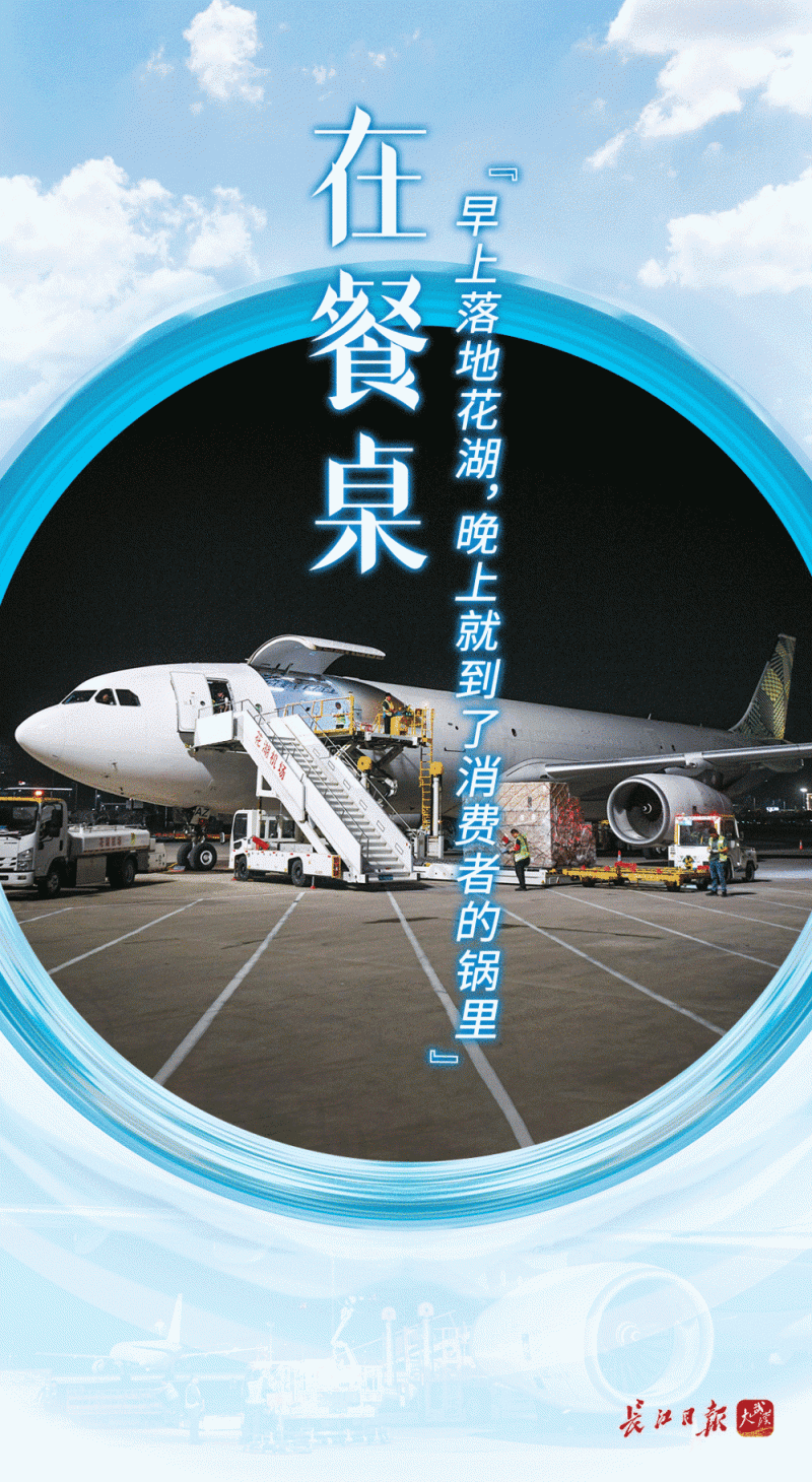 花湖八日――在跑道、在直播间、在百姓餐桌，看见一张通达全球的网