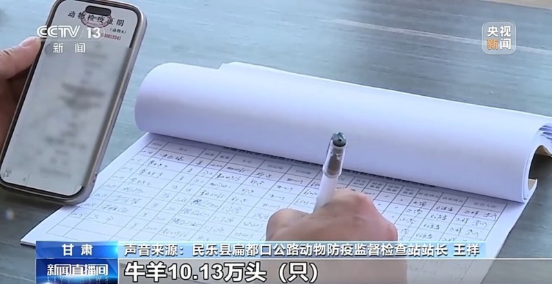 65万牛羊异地过冬 借牧双方资源互补催生产业新模式