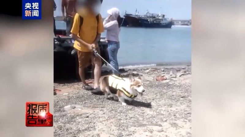 每周质量报告丨非法包船登岛成公开生意 揭露无人岛旅游乱象