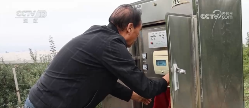 特色“小”苹果成就富民“大”产业 “保险+期货”为苹果产业注入金融动能