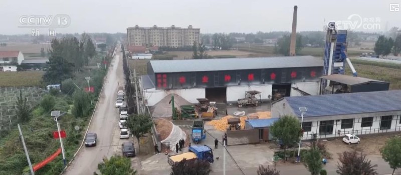 各地多举措战阴雨抢秋收：“粮食银行”护粮减损 烘干链闭环助农“收好粮卖好价”