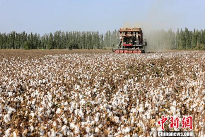 东西问・中国学丨阿根廷学者何广思：如何更好理解中国式现代化？