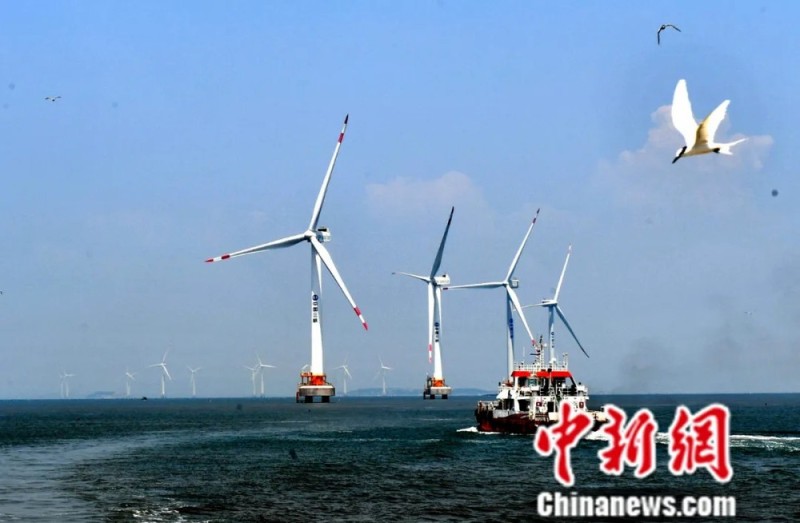 东西问・中国学丨英国作家马丁内斯：中国生态文明建设何以成果丰硕？
