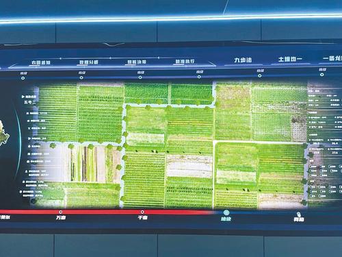 冀云深度丨中国饭碗，穰穰满家