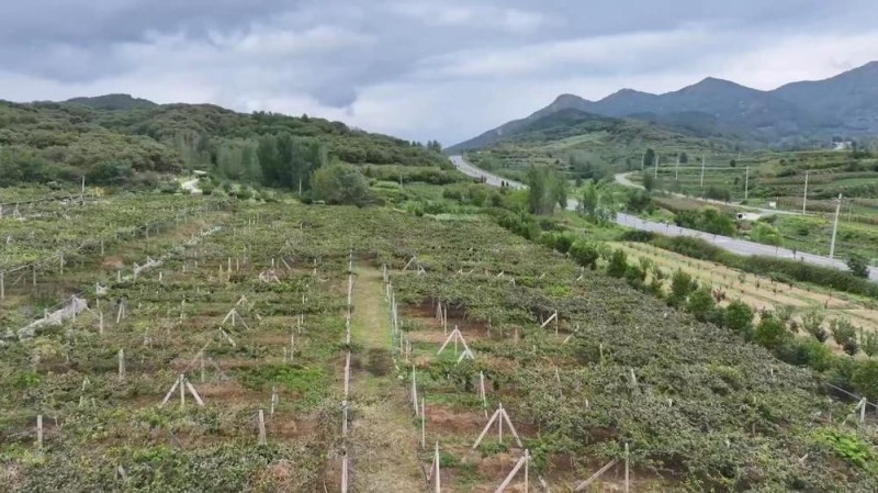 新华视点丨金秋丰收绘新景 乡村振兴谱华章