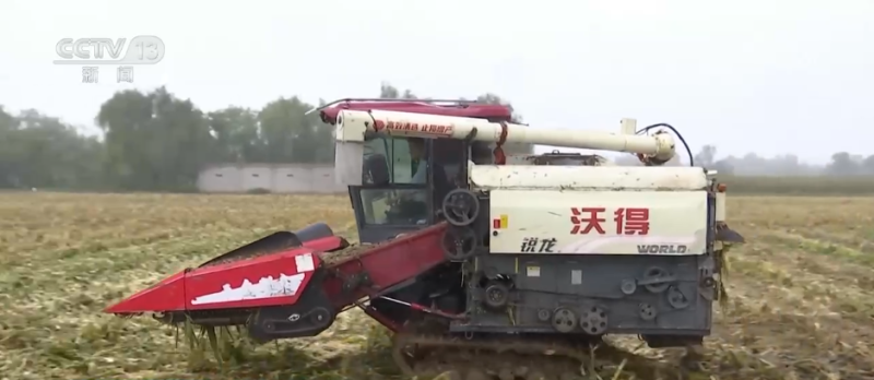 “干”字当头！各地多举措保“三秋”生产 全力守护群众“粮袋子”