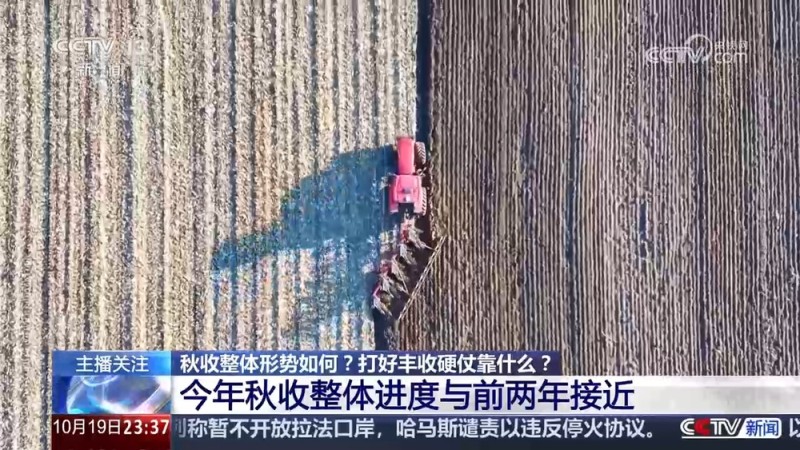 打好黄淮海秋收硬仗 要上哪些“硬手段”？