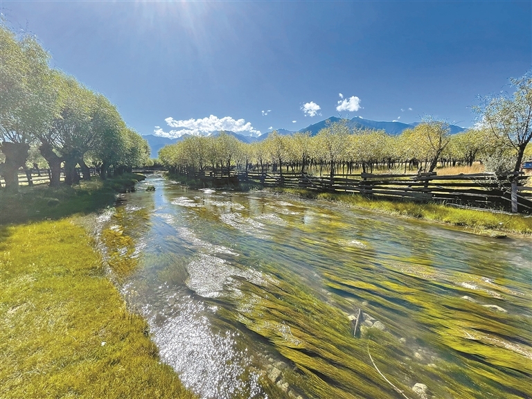 追“风”逐“光” 向绿而行