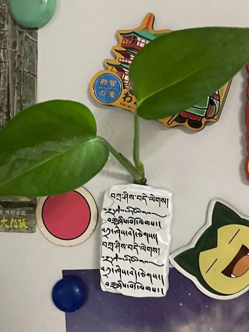 非遗搬到冰箱上？太出圈啦