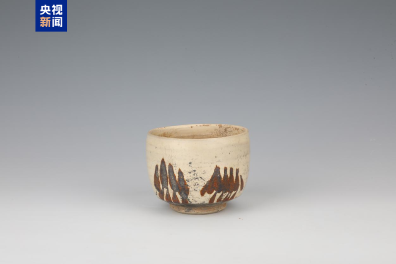 考古新发现 山西公布5座元代平民墓葬遗物