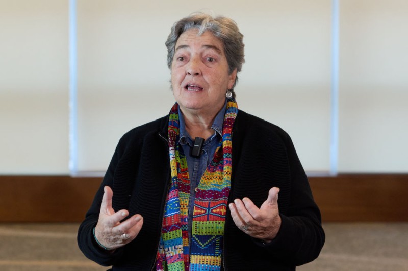 全球妇女峰会・专访｜《北京宣言》和《行动纲领》影响深远持久――访乌拉圭知名社会活动家露西・加里多