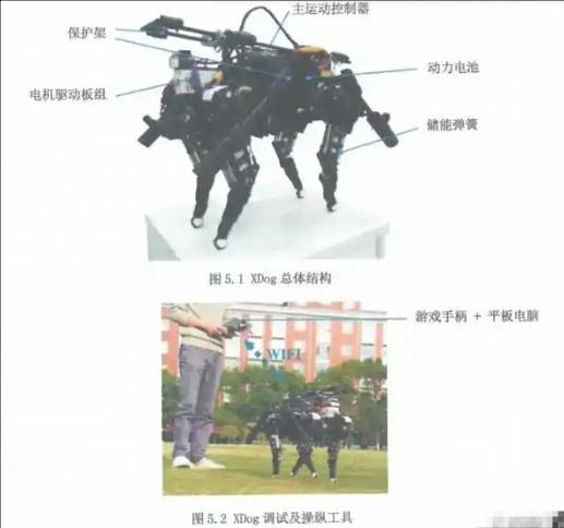 亚马逊人力资源部门裁员15%，负责裁员的也被裁了；影石CEO回应道歉：接受批评，但承诺福利照发；荣耀机器人手机问世丨雷峰早报