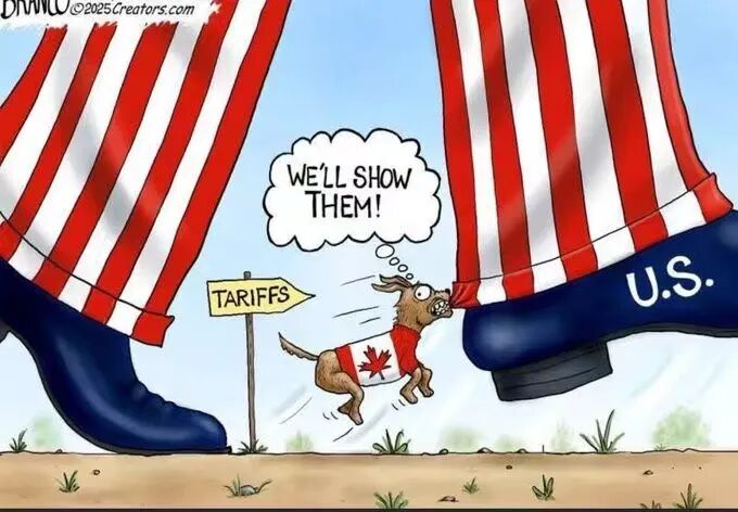 加拿大被杀鸡儆猴了