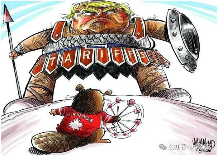 加拿大被杀鸡儆猴了