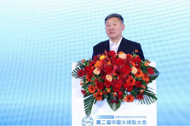 从 CIPS & CLM 迈进:中国大模型的智能跃迁