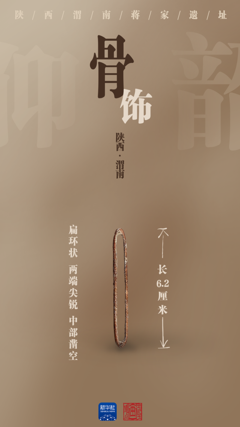 国宝画重点｜陶器上新！陕西蒋家遗址展现史前文明景象