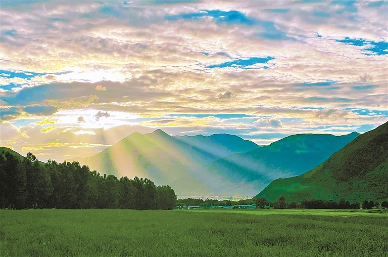 追“风”逐“光” 向绿而行