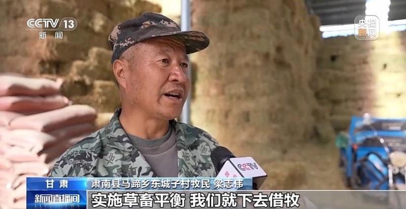 65万牛羊异地过冬 借牧双方资源互补催生产业新模式