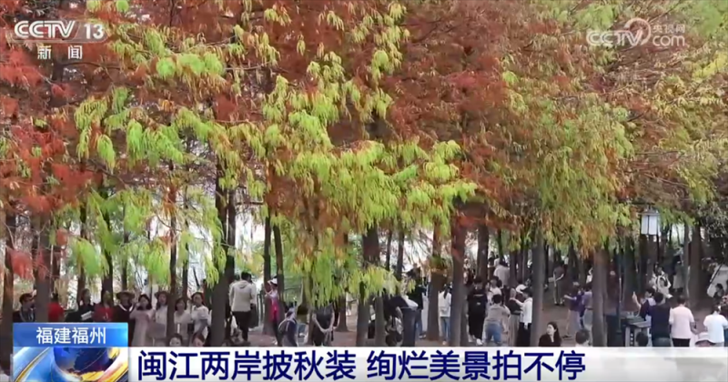 多场景联动打造“赏秋游”沉浸式新体验 “秋日经济”带火文旅消费新实践