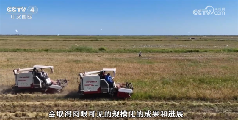 新“智”涌现助力中国智慧农机“出海”提速 农业尽显“科技范”