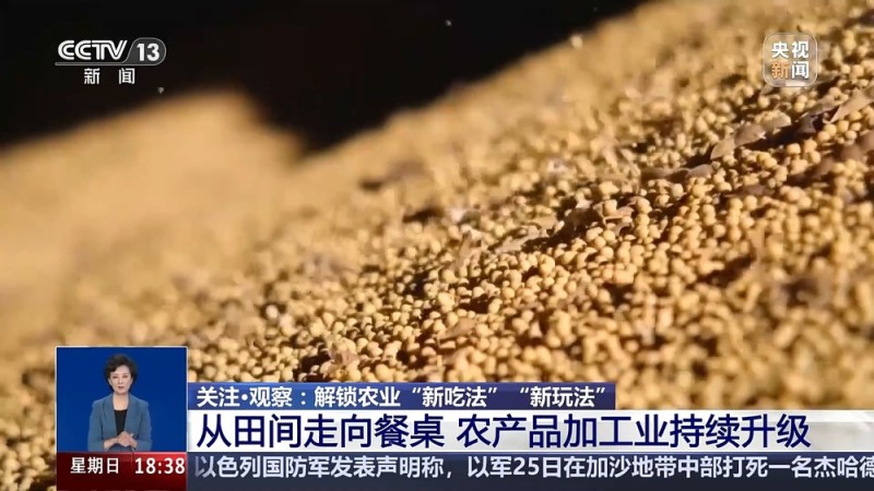 从实验室、生产线到千里沃野 解锁农业“新吃法”“新玩法”