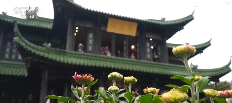 “斑斓秋色+新潮玩法”点燃赏秋游新热力 文旅新消费活力十足