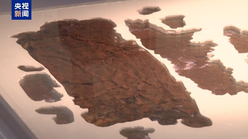 新发现40余字!长沙子弹库战国帛书“全息信息采集”计划已启动