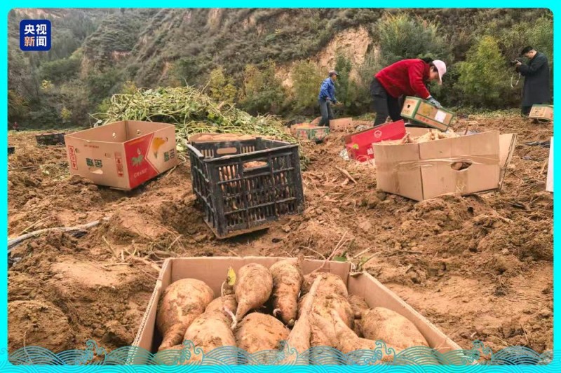 行走江河看中国丨水润三秦 看陕西如何碧波织锦