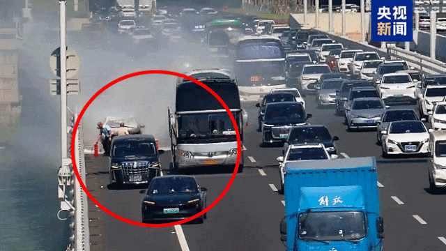 7点出发|小心“飞行的硫酸”!有人32楼家中被隐翅虫“占领”