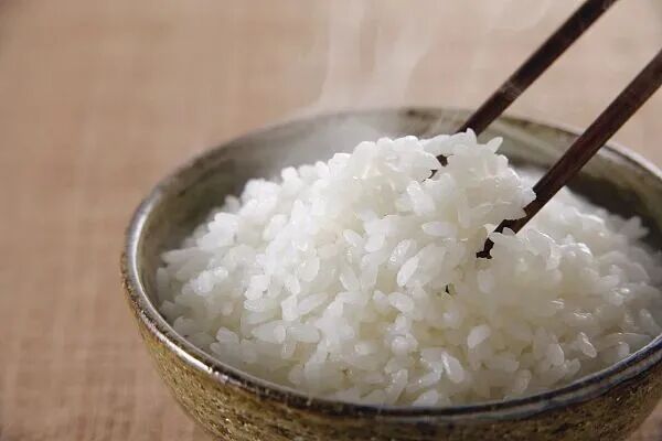 “农”墨重彩促振兴，天津秀出新“食”力！