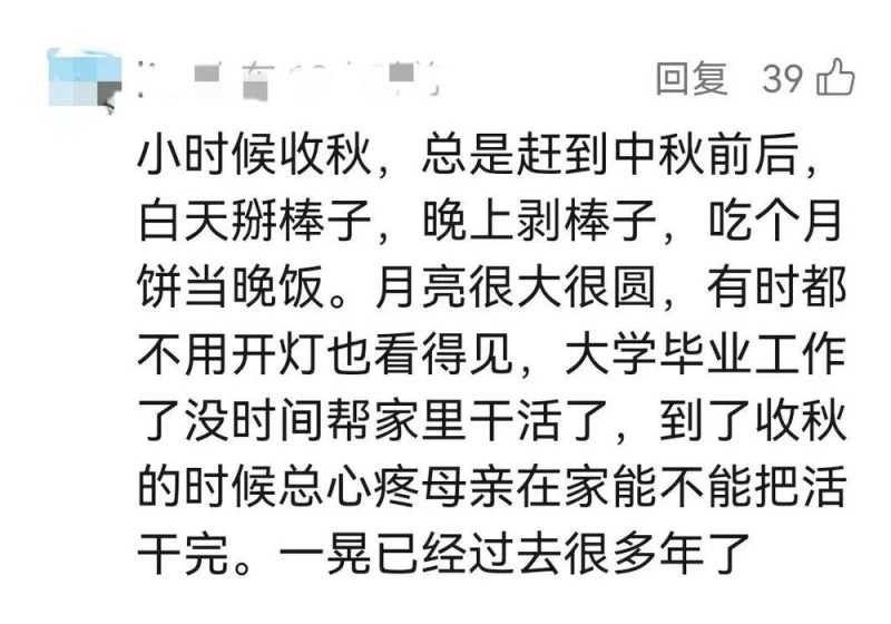 “我多弯一次腰,父母就少吃一点苦!”大学生8天假期掰了7天半玉米