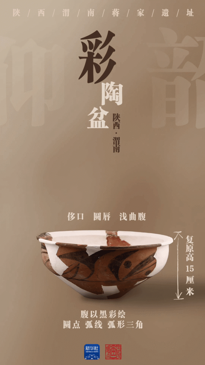 国宝画重点｜陶器上新！陕西蒋家遗址展现史前文明景象