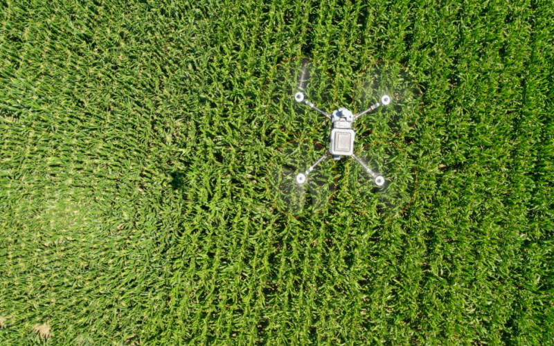 理响中国｜1.4万亿斤的跨越