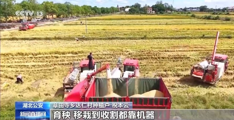 降雨导致秋粮受灾 与时间赛跑无人机助力抢收