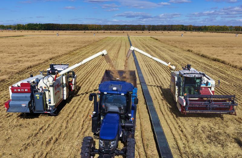 冀云深度丨中国饭碗，穰穰满家